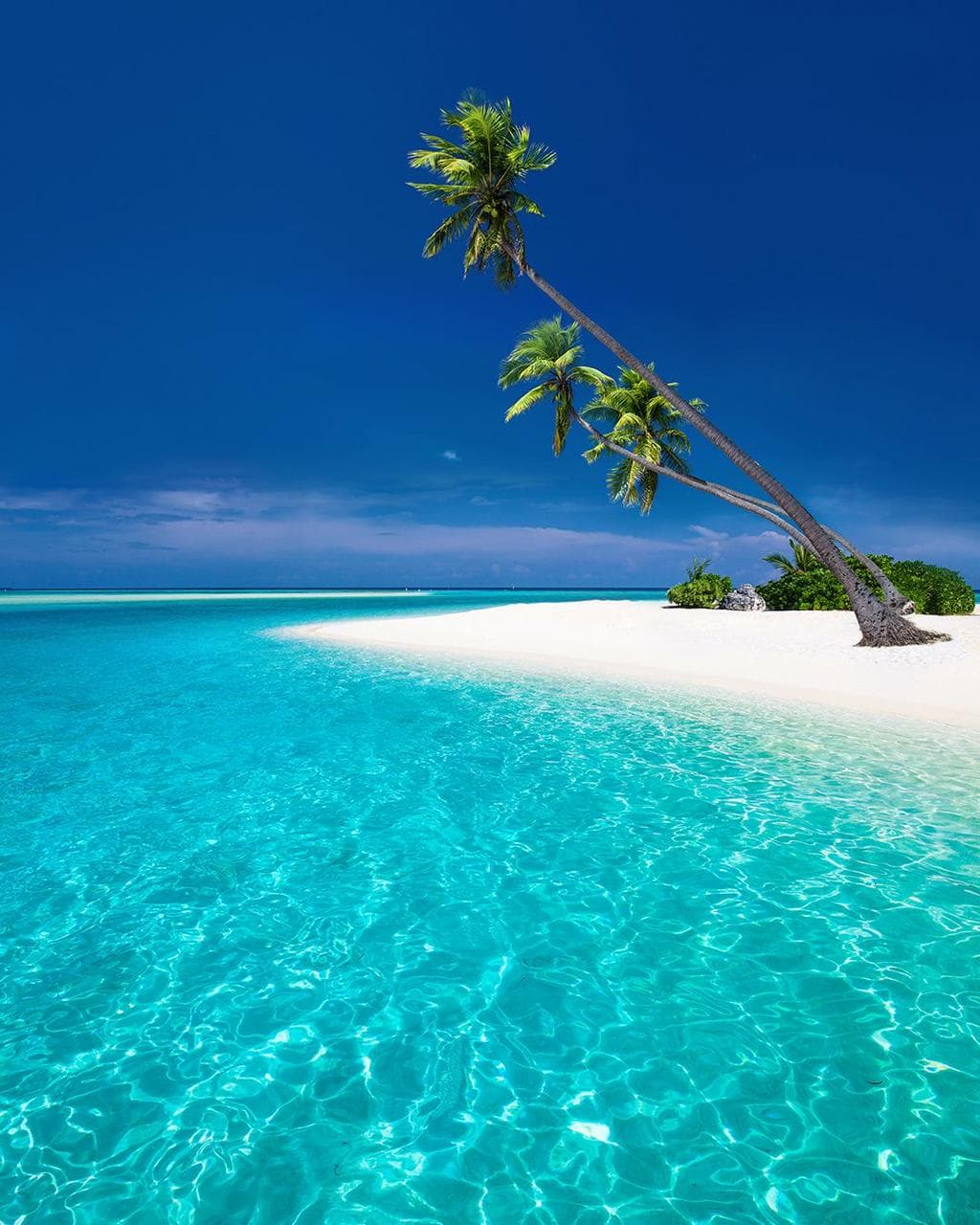 Funzi Island